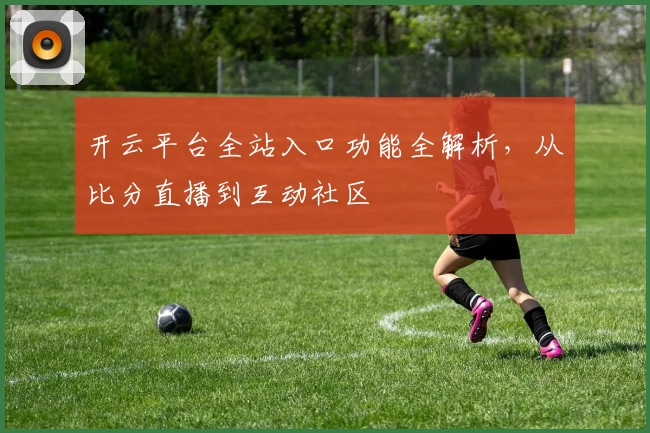 开云平台全站入口功能全解析，从比分直播到互动社区