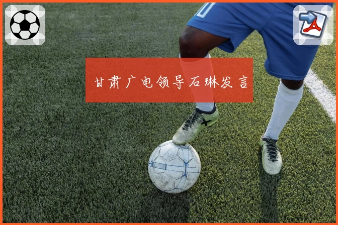 甘肃广电领导石琳发言